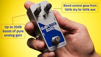 Amazon.com: Electro-Harmonix Slap-Back Echo Analog Delay